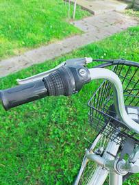 Bicicletta elettrica a pedalata assistita