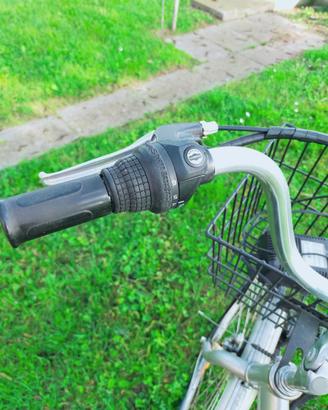 Bicicletta elettrica a pedalata assistita