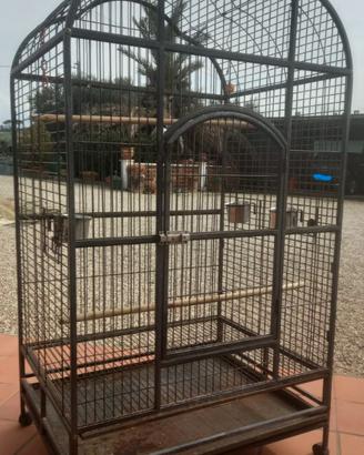Gabbia per uccelli