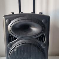 Cassa Ibiza port12vhf-bt