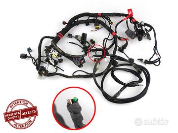 Impianto Elettrico con ABS DUCATI Monster 797