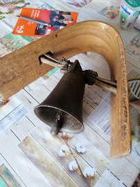 Campanaccio con collare