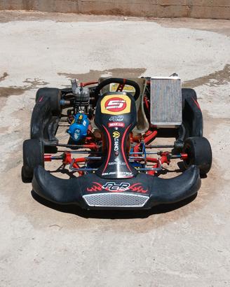 kart pcr 100 cc