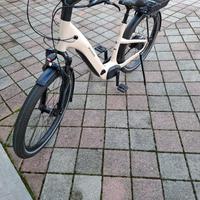 ebike