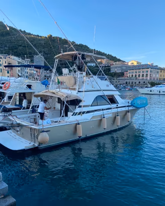 BERTRAM 37 FISHERMAN