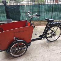 CARGO BIKE ELETTRICA BABBOE BIKE