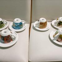 Set di 6 tazze con piattini porcellana