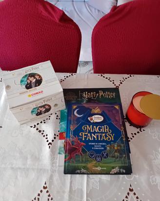 Album vuoto Harry Potter con scatola 
