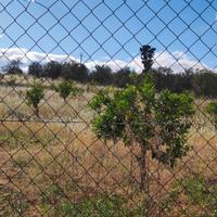 Terreno agricolo anche a lotti