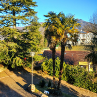 Bella Pensione per Cani