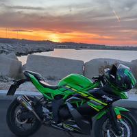 Kawasaki Ninja 125 (PREZZO TRATTABILE)
