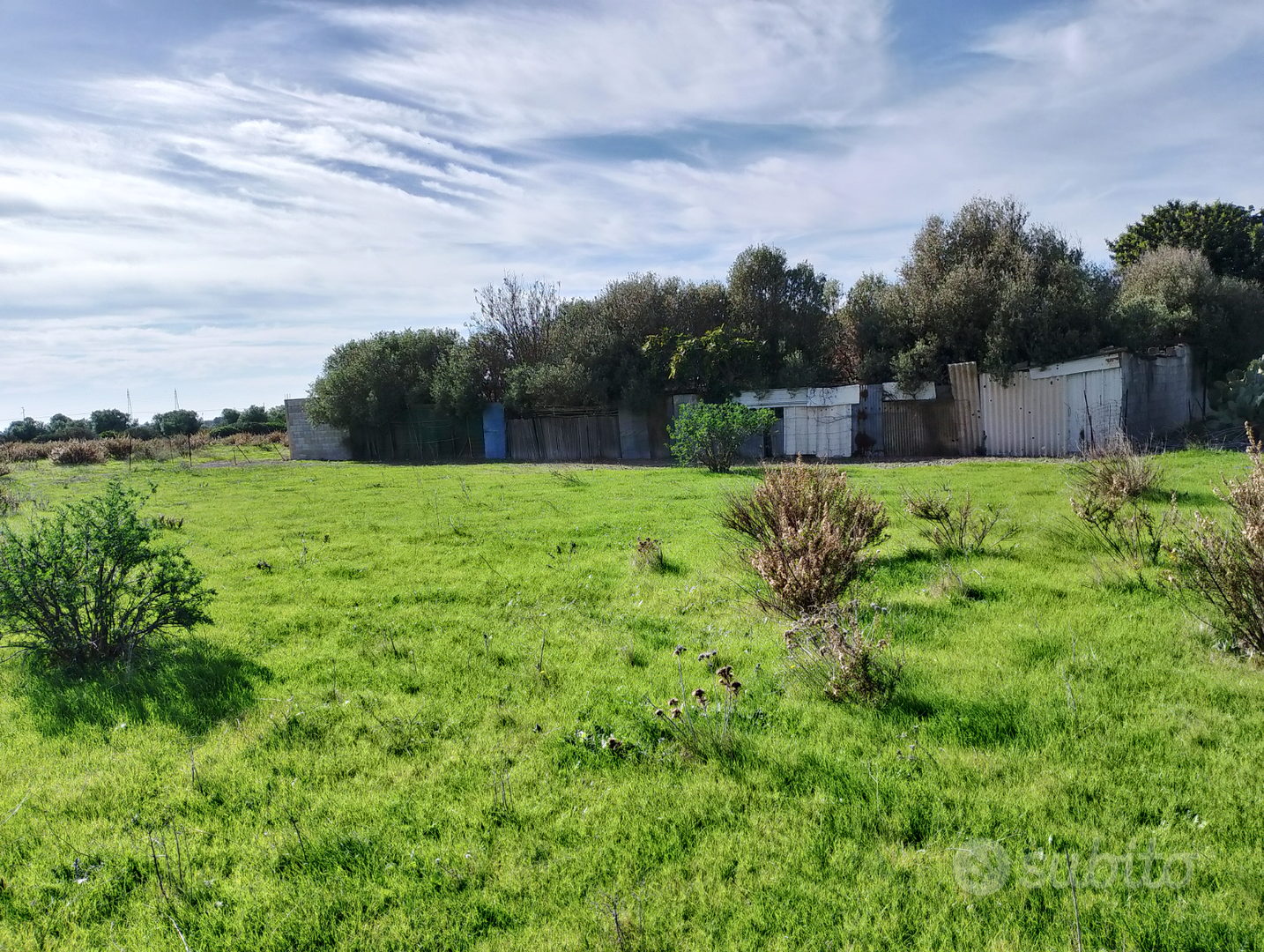 Terreno agricolo - Vista 2