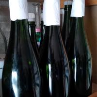BOTTIGLIE DI  QUALITÀ PER IMBOTTIGLIARE VINO