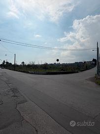 Terreno agricolo di facile accesso e visibilità