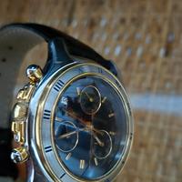 orologio philip watch hippos vintage ani 2000