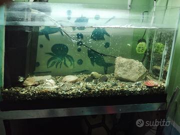 acquario
