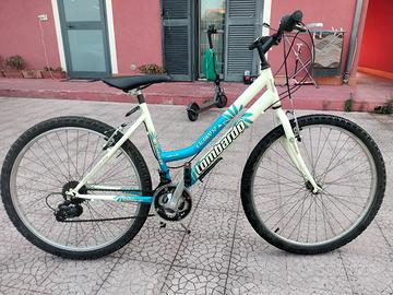 lombardo 26"