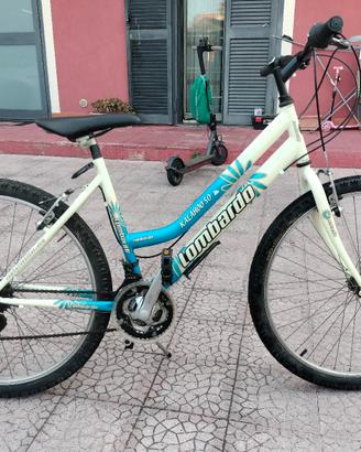 lombardo 26"