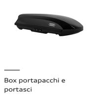 Baule box porta pacchi / sci