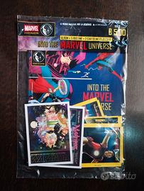 Into the Marvel Universe Sticker Starter Pack