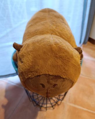 peluche cuscino capibara