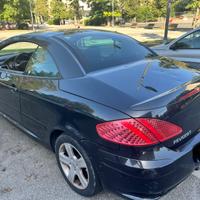 auto Peugeot 307