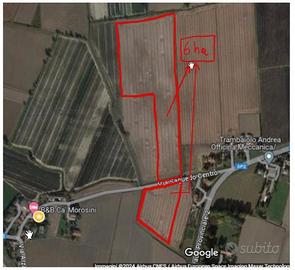 Vendita Terreno 6 ettari Lusia