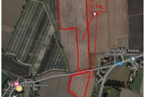 Vendita Terreno 6 ettari Lusia