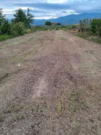 Terreno per uso vivaistico
