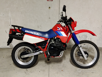 Honda XL 600 RM 1986 FMI TARGA ORO