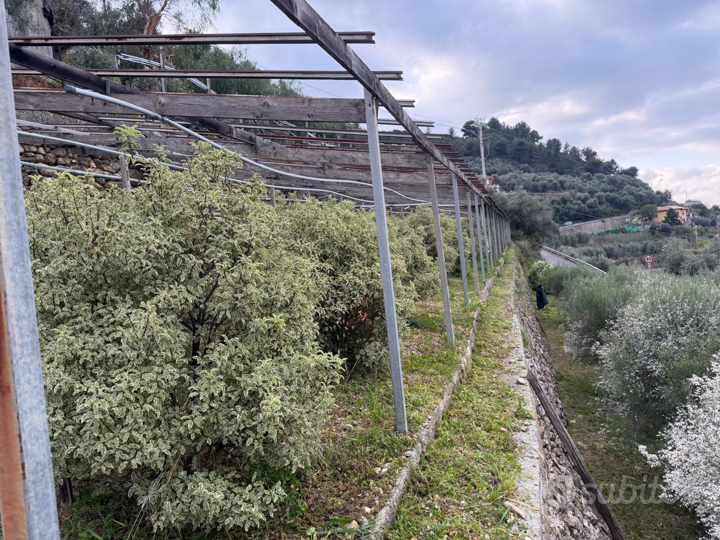 Terreno agricolo - Vista 3