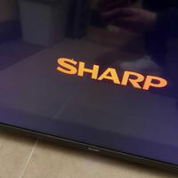 Tv Sharp 32 pollici + staffa per parete