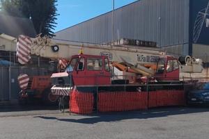 Gru gommata Rico 4 assi telescopica