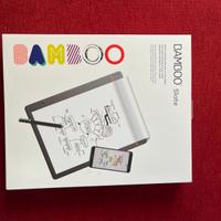 Tavoletta grafica - Wacoon BambooSlate A4
