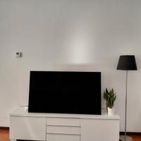Mobile  TV
