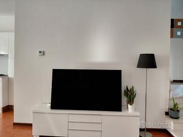 Mobile  TV