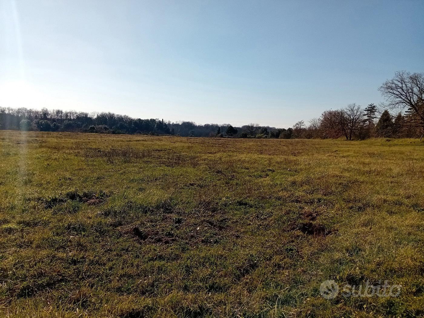 Terreno Residenziale Nepi [Cod. rif 3339933VRG] - Vista 3