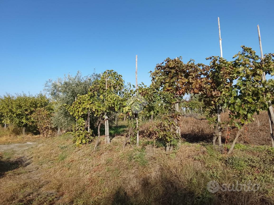 TERRENO A SAN SEBASTIANO AL VESUVIO - Altro