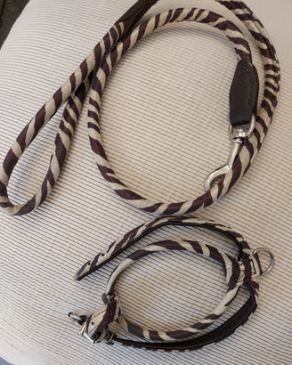 Guinzaglio e pettorina