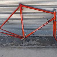 telaio Bianchi bici da passeggio