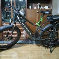 bicicletta pedalata assistita 250 doppia batteria 