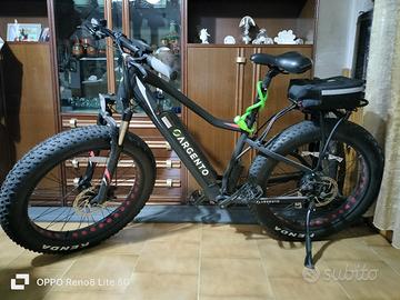 bicicletta pedalata assistita 250 doppia batteria 