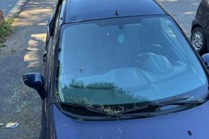 Ford Fiesta Benzina/GPL (danneggiata)