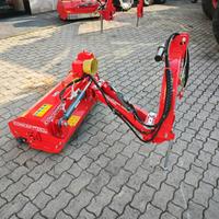 TRINCI ARGINI CONCEPT CS 110