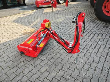 TRINCI ARGINI CONCEPT CS 110