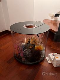 Acquario Biorb 35 litri