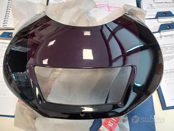 APRILIA RS 125 EXTREMA 1992 PRUGNA