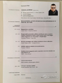 Carrelista magaziniere logistico esperto