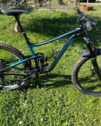Giant Reing SX taglia L