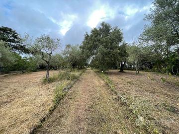 San Giovanni - Indipendente con terreno